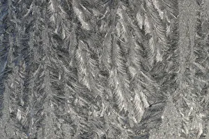 Weather Prints: Frost pattern on a window following a cold night in Germany
