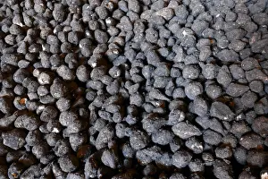 Sugar Prints: Frozen harvest leaves bitter taste for US sugar beet farmers
