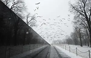 Geese fly past the Vietnam Veterans Memorial during a snow storm in Washington