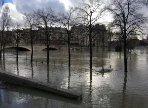 France Prints: General view of the Seine River that overflows its banks as heavy rains throughout