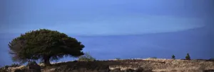 Spain Prints: A general view shows a stained area in the sea caused by submarine eruption in front of