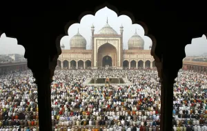 India Prints: GM1E4C918LS01