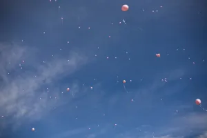 <b class=qtipBold><figcaption>GM1E5970E8Z01</figcaption></b><br>Pink balloons drift into the sky at the conclusion of a parade through South Lake Tahoe celebrating the reappearance of Jaycee Dugard who had been abducted 18 years ago in the California town on the Nevada border, September 6, 2009. Dugard was kidnapped at the age of 11 in 1991 and spent 18 years living in sheds and tents behind the home of her accused abductor, a convicted rapist who fathered two children with her, police said. REUTERS/Max Whittaker (UNITED STATES CRIME LAW SOCIETY IMAGES OF THE DAY) GM1E5970E8Z01