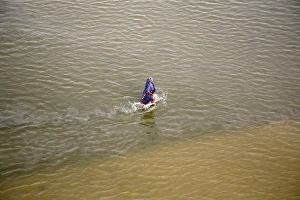 <b class=qtipBold><figcaption>GM1E75H19ZD01</figcaption></b><br>A devotee walks back to shore after taking a dip in the waters of the river Ganges in the northern Indian city of Allahabad May 17, 2011. REUTERS/Jitendra Prakash (INDIA - Tags: RELIGION SOCIETY IMAGES OF THE DAY) GM1E75H19ZD01