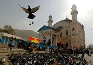 <b class=qtipBold><figcaption>GM1E78Q1K4L01</figcaption></b><br>Men feed pigeons outside Shah-e Doh Shamshira mosque during the last week of the Muslim holy month of Ramadan in Kabul August 26, 2011. REUTERS/Omar Sobhani (AFGHANISTAN - Tags: RELIGION ANIMALS) GM1E78Q1K4L01