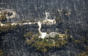 <b class=qtipBold><figcaption>GM1E96E0K8H01</figcaption></b><br>A house sits undamaged in the aftermath of the Black Forest Fire in Black Forest, Colorado June 13, 2013. Hundreds of firefighters made a determined stand on Thursday to stop the wildfire that has already destroyed some 360 homes from roaring into the outskirts of Colorado Springs after it billowed overnight into the most destructive blaze in state history. REUTERS/Rick Wilking (UNITED STATES - Tags: DISASTER ENVIRONMENT TPX IMAGES OF THE DAY) - RTX10MY8 GM1E96E0K8H01