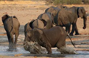 A group of elephants are seen at a watering hole inside Hwange National Park