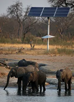 A group of elephants are seen at a watering hole inside Hwange National Park