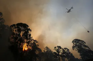 Prints of A helicopter carries water to be dropped on a bushfire in Castlereagh, near Sydney September 10, 2013 Australia Prints: A helicopter carries water to be dropped on a bushfire in Castlereagh, near Sydney