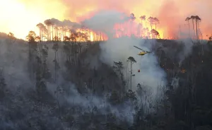A helicopter drops water on a bushfire burning above Cape Towns Tokai forest A helicopter drops water on a bushfire burning above Cape Towns Tokai forest