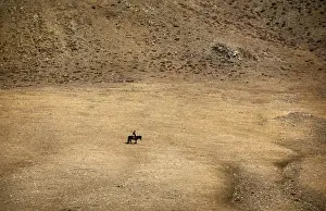 A herder rides a horse on grasslands located around 200km (62 miles) south-west of