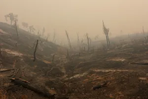 Wildfire Prints: Hills are bare after being burned in the Carr Fire near Igo