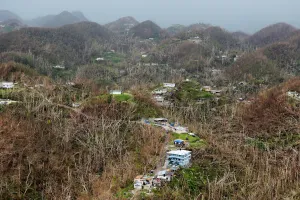 Puertorico Prints: Homes damaged by Hurricane Maria stand amid thousands of trees that have been exfoliated