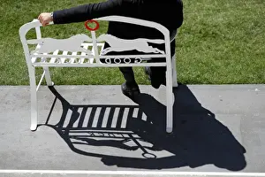Horse Racing - General view of a racegoers shadow before the races