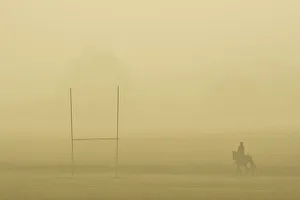 United Kingdom Prints: A horse and rider cross Richmond Park shortly after dawn