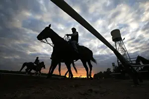 Horses are seen in silhouette making their way to the track for morning workouts