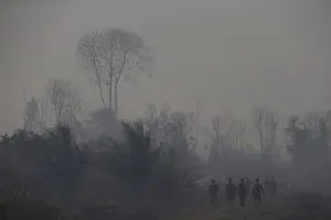 Indonesia Prints: Indonesian soldiers and policemen walk for a break after spraying water on burned palm