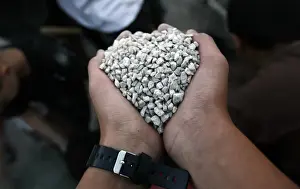 Israeli boy holds a fist full of gravel as he takes part in a building activity