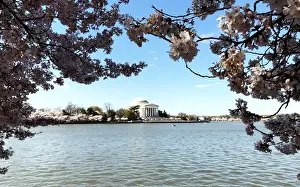 Weather Prints: The Jefferson Memorial in Washington is pictured with the Tidal Basin