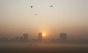 India Prints: Joggers stand amid dense fog on a cold winter morning in Kolkata