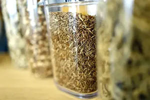 Metro Prints: Larvae and food made of insect protein are pictured at the headquarters of German