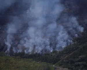 Hawaii Prints: Lava advances through a wooded area in the Leilani Estates near Pahoa, Hawaii