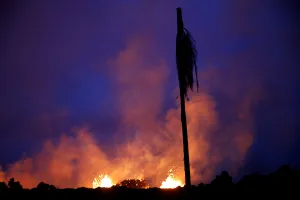 Prints of As lava fissures erupt in the distance, a destroyed palm tree is seen in the Leilani Estates near Pahoa, Hawaii, U.S. May 25, 2018. REUTERS/Marco Garcia Images Dated 2018 May: As lava fissures erupt in the distance, a destroyed palm tree is seen in the Leilani