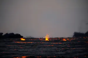 Hawaii Prints: Lava streams down the field from an eruption of the Kilauea Volcano in the Leilani