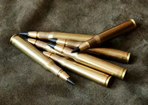 Lutz Moeller. 30-06 hunting cartridges with MJG lead free bullets are seen in Vienna