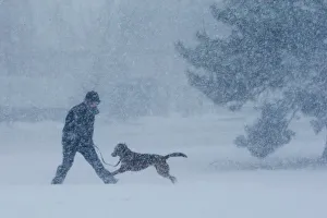 A man and his dog play in the snow during a winter snowstorm in the Boston suburb of