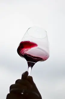 A man holds a glass of red wine from Spain during a tasting session at Vinexpo Asia-Pacific