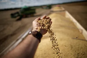 Prints of A man holds grains during the opening ceremony of the Grain Harvest in Caseara, Brazil February 15, 2018. Picture taken February 15, 2018. REUTERS/Ueslei Marcelino Brazil Prints: A man holds grains during the opening ceremony of the Grain Harvest in Caseara