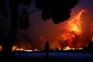Greece Prints: A man looks at the flames as a wildfire burns in the town of Rafina