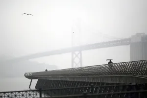 Drought Prints: A man walks beneath an umbrella along Pier 14 near the San Francisco Oakland Bay Bridge