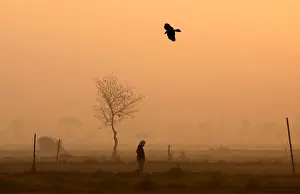 A man walks through a vegetable field on a foggy winter morning in New Delhi