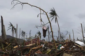 Philippines Prints: A mannequin hangs on a tree amidst debris brought by super typhoon Haiyan in Palo