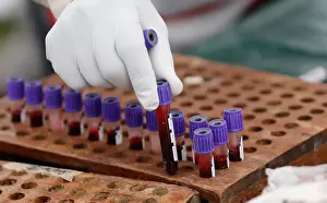 : A medic arranges blood samples donated during a Valentines Day campaign