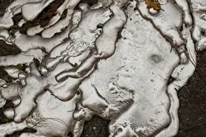 California Prints: Melted metal from an abandoned car destroyed by the Camp Fire is seen in Paradise