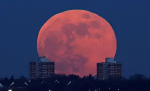 Lunar Prints: A full moon rises behind blocks of flats in north London