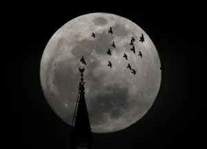 Jordan Prints: The full moon rises behind a mosque as birds fly in Amman