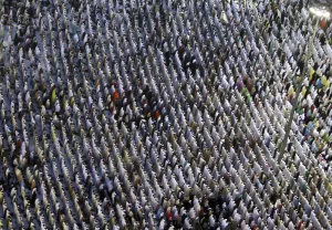Images Dated 2012 October: Muslim pilgrims attend a prayer session along a street at the surrounding area of