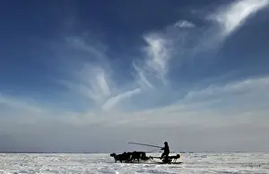A Nenets man rides a reindeer sledge near a settlement in Tundra region