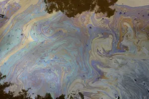 An oily film is seen in a flooded street in the Brisbane suburb of Toowong An oily film is seen in a flooded street in the Brisbane suburb of Toowong