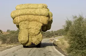 An overloaded truck carries bales of rice stalks near Rosso