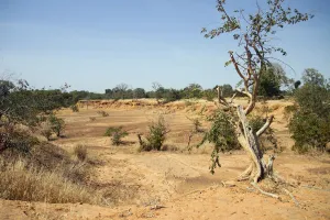 Climate Prints: Parched land is pictured around the Lake Wegnia, in Sahel region of Koulikoro