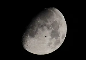 Prints of A passenger jet is silhouetted against the moon as it flies over Shanghai July 19, 2013. REUTERS/Aly Song (CHINA - Tags: ENVIRONMENT TRANSPORT TPX IMAGES OF THE DAY) China Prints: A passenger jet is silhouetted against the moon as it flies over Shanghai