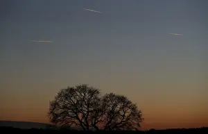Airline Prints: Passenger planes leave behind contrails as they fly in the skies over London Luton