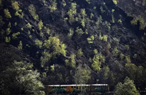 Images Dated 2012 April: A passenger train travels past a growth of trees near the Czech capital Prague