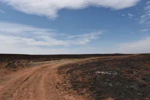 Oklahoma Prints: Pastures burnt by the Rhea Fire are seen near Taloga, Oklahoma