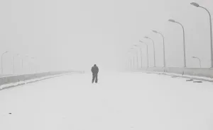 Prints of A pedestrian walks during snowfall in Shanghai January 20, 2011 China Prints: Pedestrian walks during snowfall in Shanghai